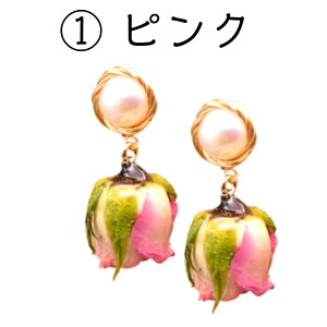 y|Cg10{ 5OFFN[|z  GLSEEVO A [Y VR W p[ h sAX Mtg NX}X g VRp[ NX}X