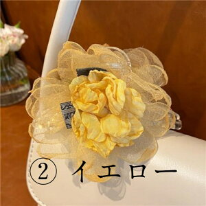 y|Cg10{ 20OFFN[|z  t[ wANbv wAs  ZNV[ Ȃ