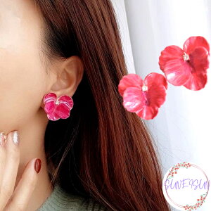 y|Cg10{ 5OFFN[|z ؂₩ t[ sAX  NX}X fR[V ؍ ؍ fB[X ANZT[    킢