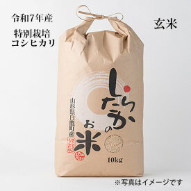 特別栽培コシヒカリ　玄米30Kg【令和7年産】【農家直送】【山形県白鷹産】【安全・安心】【10kgずつに小分けサービスを致します。】