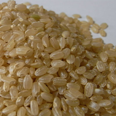 山形から日本の美味しい品種　特別栽培玄米30kg