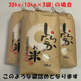 雪若丸　白米10kg【山形県白鷹町】【令和7年産】【粒立ちしっかり】　山形の新品種【受注後精米】