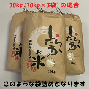 もち米 もち米 10kg 新米」の人気商品一覧・価格比較 - 価格.com