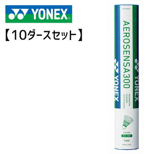 y10_[XZbgzYONEX AS-300 GAZT300 oh~gVglbNX
