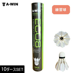 y10_[XZbgzA-WIN ECO8 GRGCg K 8HVg oh~gVg A[EB