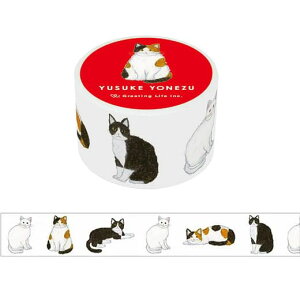 Ē×S }XLOe[v 28mm {L YZZ-272 O[eBOCt 킢  l }Xe fR[V ߂