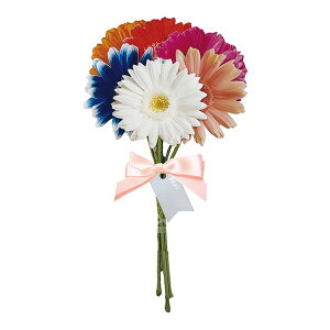 bZ[WMtgu[P K[x MMBS-466 O[eBOCt O[eBOJ[h bZ[W ړI a j ԑ t[