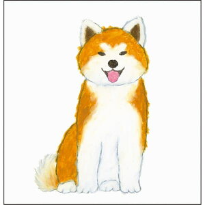 Nʂۂ Ē×S |` Hc 5 YZP-428 O[eBOCt |`  