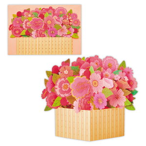 o[Xf[J[h ̃{bNXsNt[ 811907 {z[}[N O[eBOJ[h 莆 a j