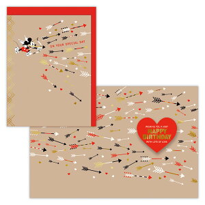 o[Xf[J[h fBYj[ ~bL[n[g/USA Design 830397 {z[}[N O[eBOJ[h l q 莆 a j ߂łƂ