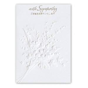 VpV[J[h G{XIII 817015 {z[}[N O[eBOJ[h    ʂ t[