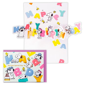 o[Xf[J[h  Xk[s[ 傤ƕłj 846008 {z[}[N O[eBOJ[h 킢 l q LN^[ a j 莆