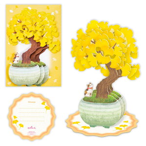 HJ[h  傤~ 846725 {z[}[N O[eBOJ[h G A 莆 H