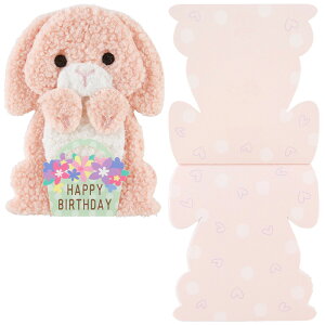o[Xf[J[h aj ӂӂfނ킢ETM BD149-3 950203 TI sanrio a j q 莆 ̎q