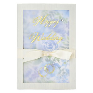 EFfBOJ[h j ԕnyAO WD228-3 619957 TI sanrio O[eBOJ[h 莆 킢 l q