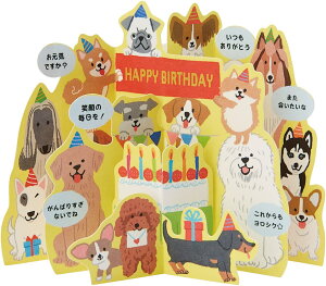 o[Xf[J[h Ckς BD41-1 808946 TI sanrio O[eBOJ[h a j 莆  ܂ |bvAbv яo 킢