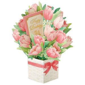 o[Xf[J[h `[bv BD59-4R 173894 TI sanrio O[eBOJ[h a j 莆  _CJbg Ăď