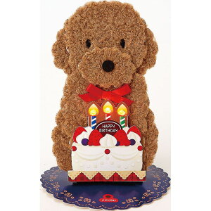 o[Xf[J[h CgfB[  gCv[h P[L JPME45-5R 184161 TI sanrio O[eBOJ[h a j 莆  ӂӂ   IS[