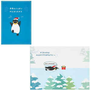 NX}XJ[h yM JX 25-5 240419 TI O[eBOJ[h sanrio l q 莆 G  킢