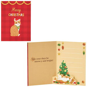 NX}XJ[h ~j T^XqԂlR JXMN 8-5 243523 TI O[eBOJ[h sanrio l q 莆 G 킢 L ɂ