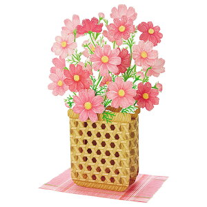 HJ[h ҂݂ɃRXX JAU 2-3 011622 TI sanrio O[eBOJ[h G I[^ H
