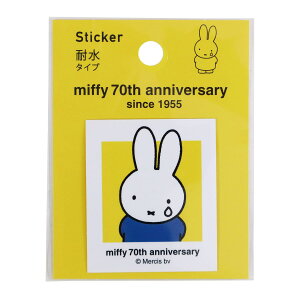 ~btB[ XebJ[ B 70N qXg[V[Y EB451B Nc BSS LN^[ObY 70th Anniversary 킢 l  V[ fR[V