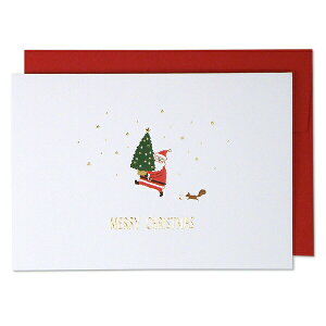 NX}XJ[h JWA  GX4144 C[Yv_Nc EASE O[eBOJ[h Vv  킢 ꂢ T^N[X