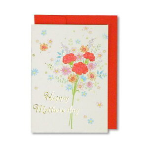 母の日 グリーティングカードの人気商品 通販 価格比較 価格 Com