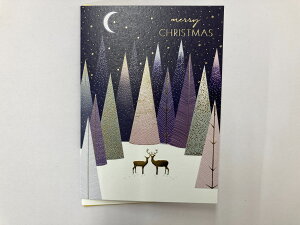 NX}XJ[h O[eBOJ[h GX4305 C[Yv_Nc EASE l Vv 莆