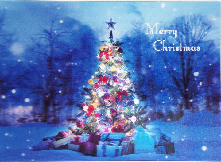 楽天市場 クリスマスカード３ｄポストカードpx 3745 イーズプロダクツ ポストカード クリスマスツリー 雪 きれい サンフェロー