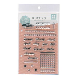 NAX^vV[g T W[i THIS MONTH OF 0980-016 ǂ̂