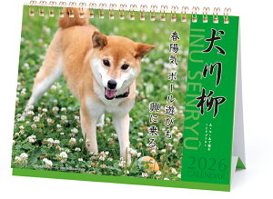 2026NxJ_[  028 () 1000136878 APJ A[gvgWp ߘa8N jn܂ 킢  ʐ^ 