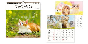 2026NxJ_[ Ǌ| L OJ_[ ق߂ɂ 845308 {z[}[N ߘa8N jn܂  ʐ^ L 킢