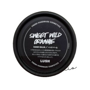 lush bV XC[gChVgX@100g/nho[@Ki