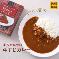 レトルトカレー 【 牛すじカレー 甘口 】 6食 12食 18食 とろける旨味 濃厚コク旨 マイルド まろやか ビ…