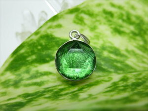 yy_ggbvzO[MxIiS覐΁jiAAA1.9g10.8×6.5mmZ䊐yӕʍς݁z