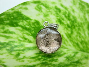 yy_ggbvzsNMxIiS覐΁jiAAA2.9g13×6.7mmZ䊐yӕʍς݁z