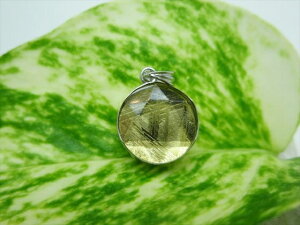 yy_ggbvzS[hMxIiS覐΁jiAAA2.9g12×6.5mmZ䊐yӕʍς݁z