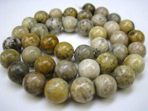 yA菤iztHVR[iX艻΁j10.2±0.3mm