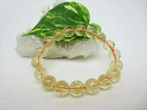 �y�u���X���b�g�z�V�R�V�g�����i��AAA��11.8±0.2mm�y��_���z