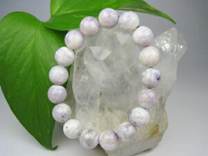 yuXbgzeBt@j[Xg[12±0.2mmy_z