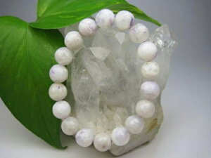 yuXbgzeBt@j[Xg[11.8±0.2mmy_z