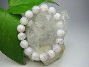 yuXbgzeBt@j[Xg[12±0.2mmy_z