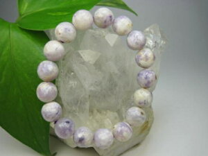 yuXbgzeBt@j[Xg[12.2±0.2mmy_z