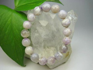 yuXbgzeBt@j[Xg[12.3±0.2mmy_z