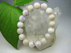 yuXbgzeBt@j[Xg[12±0.2mmy_z