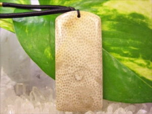 ylbNXztHVR[iX艻΁j16g