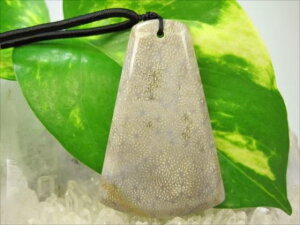 ylbNXztHVR[iX艻΁j21g