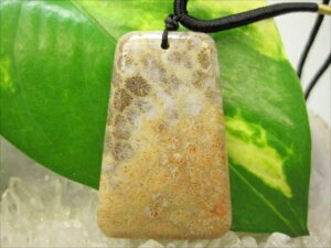 ylbNXztHVR[iX艻΁j11g