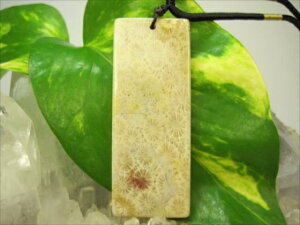 ylbNXztHVR[iX艻΁j20g